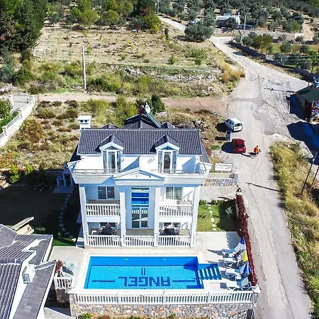 Villa Angel Devine Gold